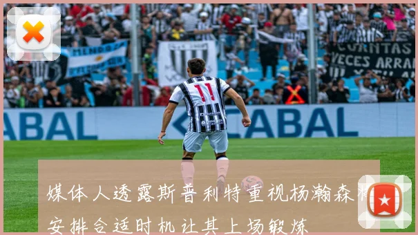 媒体人透露斯普利特重视杨瀚森将安排合适时机让其上场锻炼