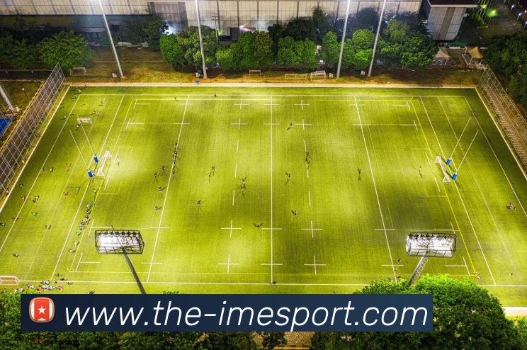 IM电竞服务体系